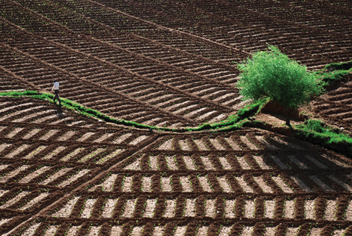 Verimli tarım alanlarının korunması